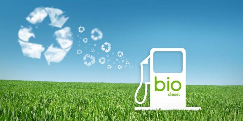 Anp define procedimento para a certificação de importadores de biocombustívei