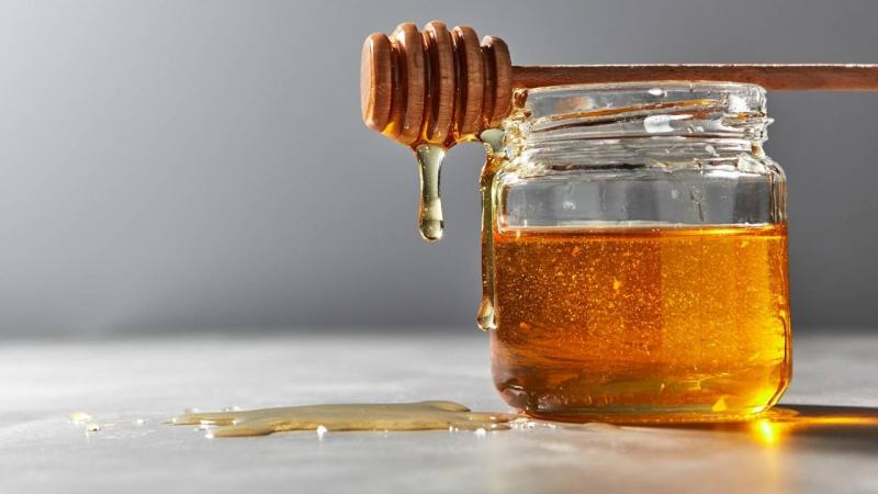 Cobiçado no exterior mel de melato é pouco conhecido no brasil