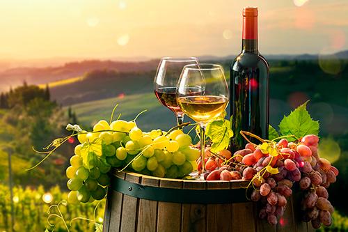 Estabelece os procedimentos e trâmites administrativos para emissão de guia de livre trânsito glt para vinhos e derivados da uva e do vinho